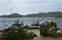 Isla Ixtapa - Playa Cuachalalata