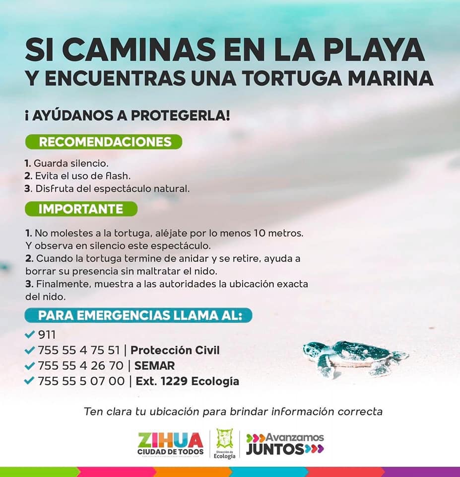 Ayúdanos a proteger las tortugas