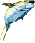 tuna